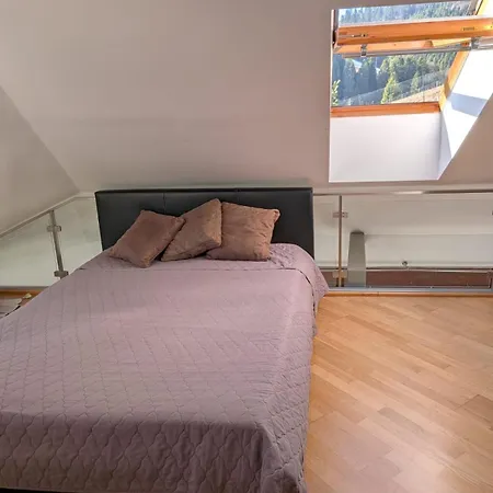 Sculpture Gallery Apartment, Vysne Ruzbachy, Garden, Garage *