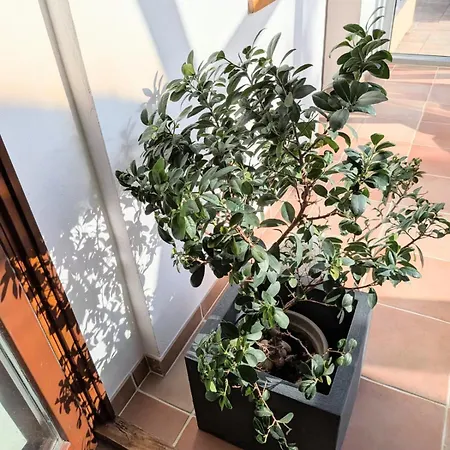 Sculpture Gallery Apartment, Vysne Ruzbachy, Garden, Garage *